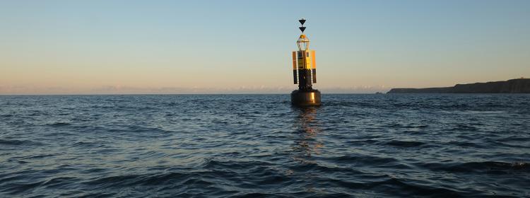 Newlyn to St Ives-Contrasted Feelings